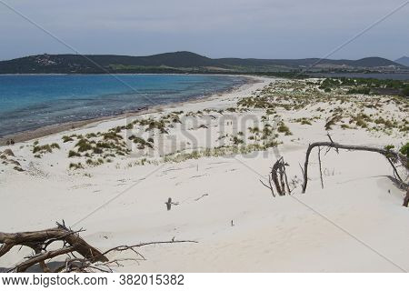 View Of The Arenas Biancas Beach And His Dunes, Teulada, Sulcis