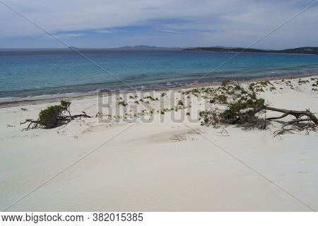 View Of The Arenas Biancas Beach And His Dunes, Teulada, Sulcis