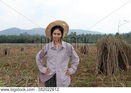 Female Farmer Standing With Akimbo And The Limb Of Tapioca Plant That Cut The Stack Together In The 