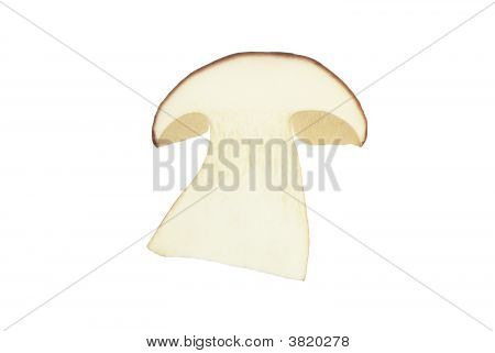 CEP-slice
