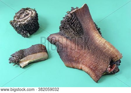 Pieces Of Raw Cow Stomach On Turquoise. Random Pieces Black Unpeeled Tripe With Grass Residues. Beef