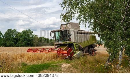 Modern Harvester At Work In Field During Gold Wheat Harvesting Season On Sunny Day. Harvesting Machi
