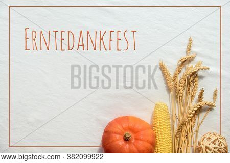 Flat Lay With Natural Harvest Autumn Decorations, Pumpkin, Corn Cob And Wheat Ears On White Textile 