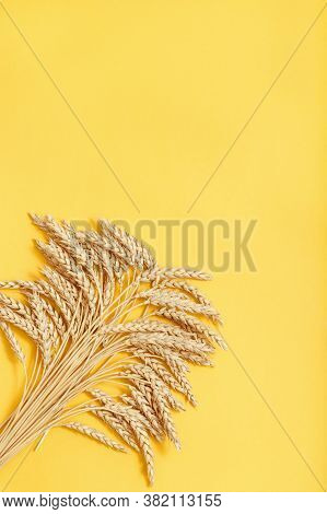 Bunch Of Compressed Stems With Ears. Golden Wheat On Yellow Paper Background. Wheat Close Up. Rich H