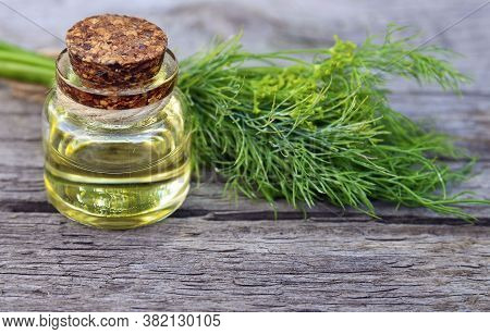 Dill Essential Oil In A Glass Bottle And  Fresh Dill Herb Bunch On Old Wooden Table.anethum Graveole