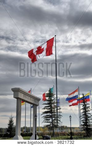 Vlag