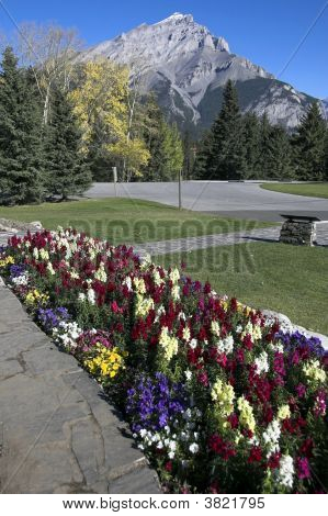 Kaskada ogrody, Banff