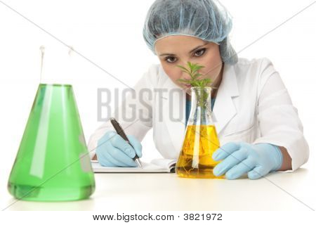 Bilim adamı botanikçi eğitim tesisi