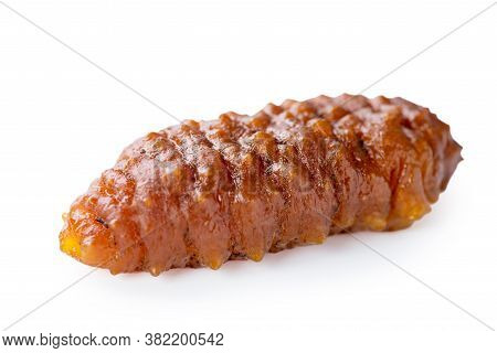 Beautiful Sea Cucumber Seafood Isolated On White Background, Clipping Path, Cut Out, Close Up.