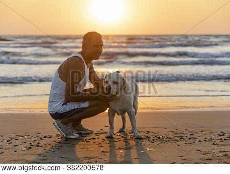 Cyprus - November 11, 2019: Person And Big Homeless Dog Together On The Seashore. Friendship Between