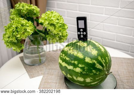 Nitrate Testers With Watermelon. Measuring The Concentration Of Nitrates