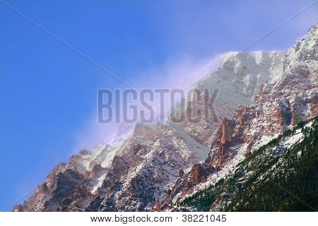 Berg Chapin von colorado