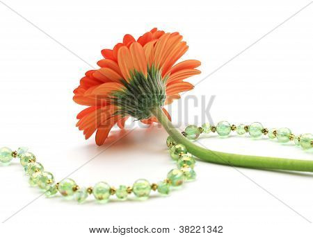 เดซี่กับคริสตัล Beaded เครื่องประดับ