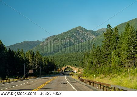 Wildlife Animals Crossing Bridge In The Flathead Reservation Area Of Montana On Highway 93, Allowing