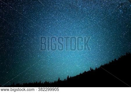 Night Starry Sky Against The Background Of The Fir Forest.