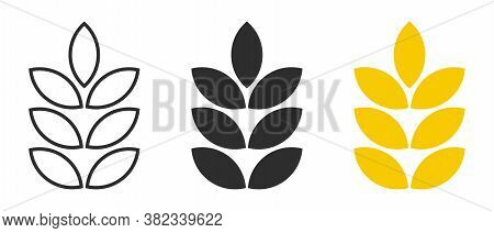 Gluten Free Vector Icon Set. Wheat Grains Isolated On White Background. No Gluten Symbol Vector.