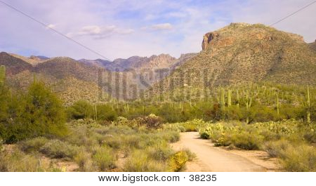 Sabino Canyon zam