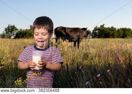 A Small Child Boy In A Striped Bright T-shirt Holds And Drinks Natural Cows Milk Against A Black Cow