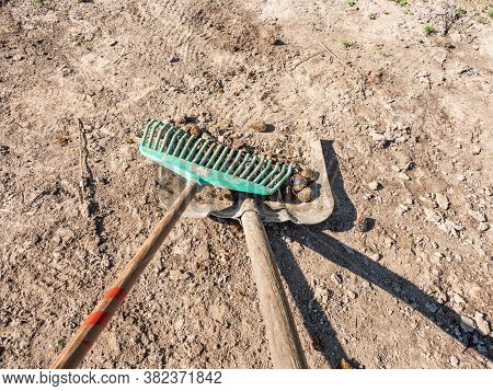 Young Girl Farmer Crearing Big Dung From A Horse On A Sandy Ground And Loading It Into Wheelbarrow.