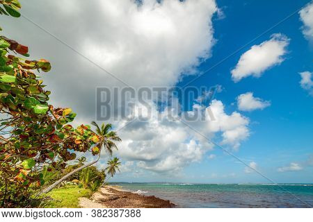 Clouds Over Autre Bord Beach In Guadeloupe, Caribbean Sea