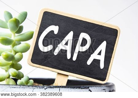 Small Black Chalk Board In A Pot With Succulents Inscribed In White Letters Word Capa Corrective And