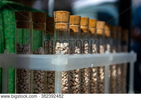 Multi-colored Granules Of Micronutrient Fertilizer In Test Tubes In A Row