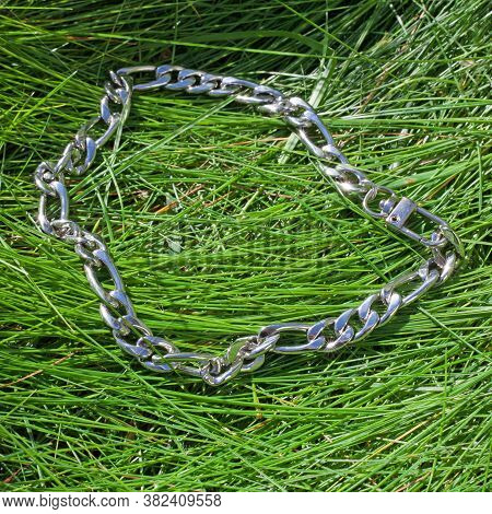 Women`s Wrist Bracelet Of Steel On Green Grass Background