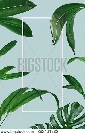 Green Leaf Surface, Abstract Background, Natural Pattern, Tropical Leaves, Dark Leaves