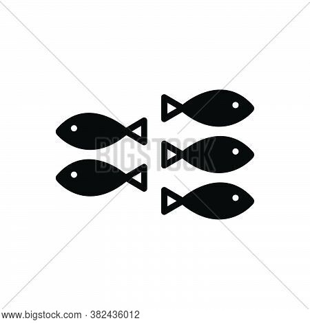 Black Solid Icon For Back Back Astern Backwards Behind Behindhand Opposite Forward Fish