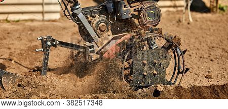 Gardener Cultivate Ground Soil With Tiller Tractor Or Rototiller, Cutivator