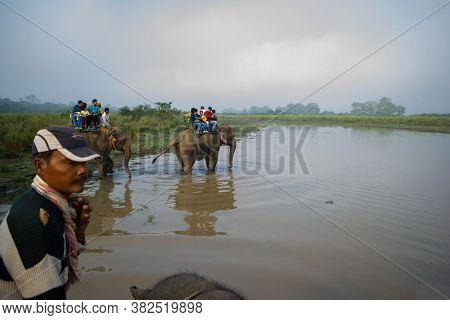 Kaziranga, Assam, India On 14 Nov 2014 - Tourists Enjoying Elephant Safari In The Lush Green Forests