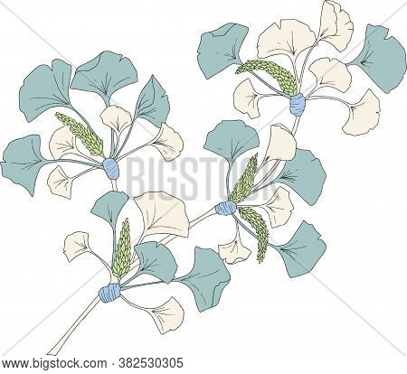 Vector Ginko Tree Branch Leaves Illustration Graphic Resourse