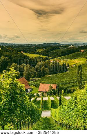 Vineyard Landscape At South Styrian Wine Road In Austria. Famous Tuscany Like Tourist Spot For Wine 
