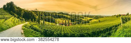 Winery Panorama On The South Styrian Wine Road In Austria. Famous Tuscany Like Spot For Wine Lovers.