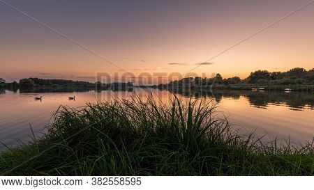 Lake Schulensmeer 2 Ducks Swimming, Grass In The Foreground, Trees In The Background Under A Beautif