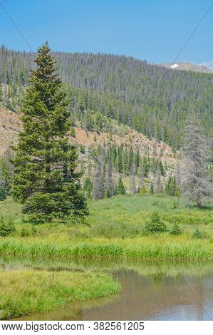 Beautiful Mountains, Forest And Landscape Near Monarch Pass In The Rocky Mountains Of Colorado