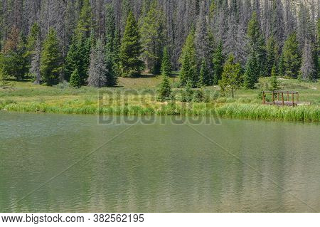Beautiful Mountains, Forest And Landscape Near Monarch Pass In The Rocky Mountains Of Colorado