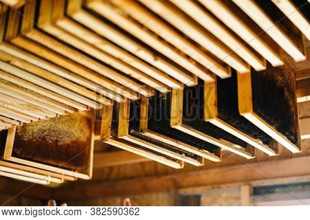 Close-up Of Wooden Honeycomb Frames Hanging On A Shelf In Bee House. Sun Rays Gently Illuminate Shel