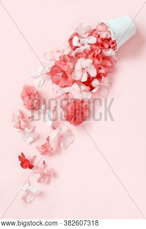 Flowers Fall Down Of A White Bucket On Light Pink Background Top View