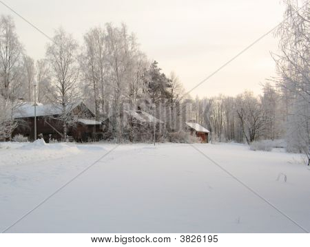 Vinter landskab