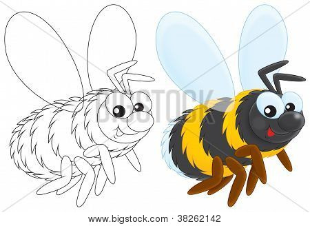 Hummel