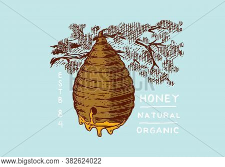 Honey And Bees. Honeycombs And Hive And Apiary. Vintage Logo For Typography, Shop Or Signboards. Bad