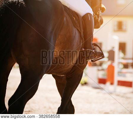 On A Bay Horse With A Long Tail In The Saddle Sits A Rider Who Has On His Feet Black Boots With Spur
