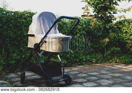 Modern Baby Stroller With Mosquito Net In The Park