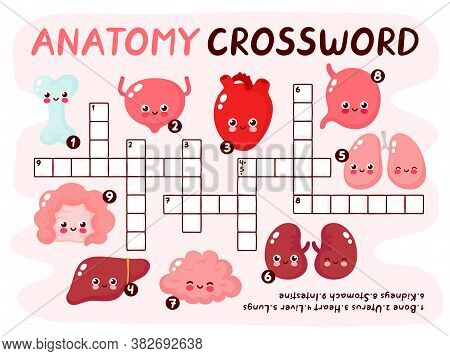 Human Anatomy Crossword Pazzle Game. Cute Smiling Happy Human Healthy Strong Organs Set. Vector Cart