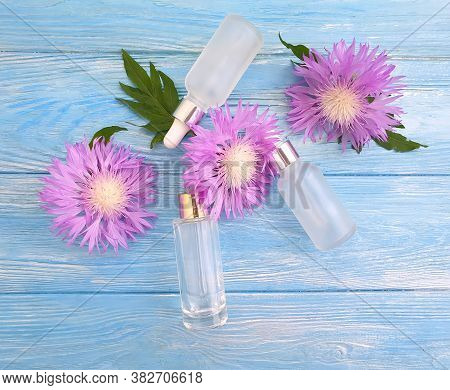 Cream Cosmetic Flower On Wooden Background Echinacea