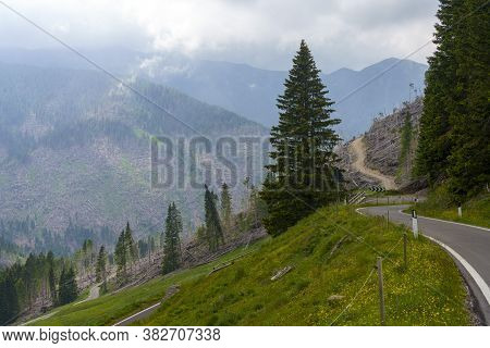 Mountain Landscape At Summer Along The Road To Manghen Pass, Trento, Trentino Alto Adige, Italy. Fal