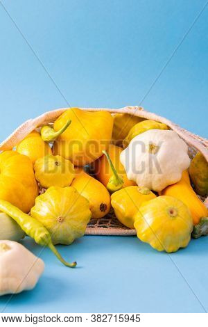 Fresh Harvest Of Zucchini And Pattison, Yellow Squash And Pattison On Blue Background