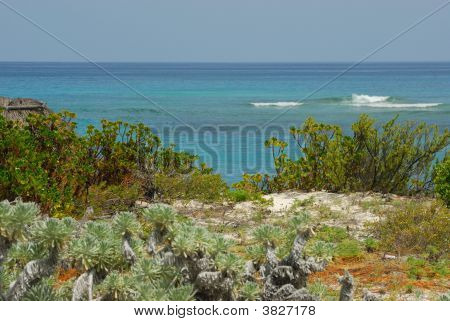 Mar dei Caraibi