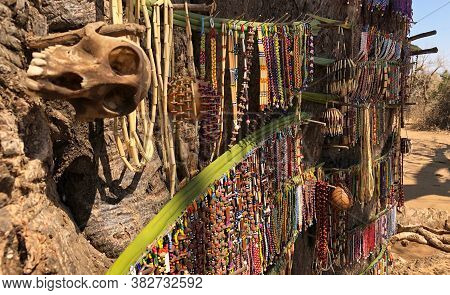 Hadza Handcrafts And Bead Necklaces Hanging In Rows Against A Baobab Tree, Which Baboon Skull In For